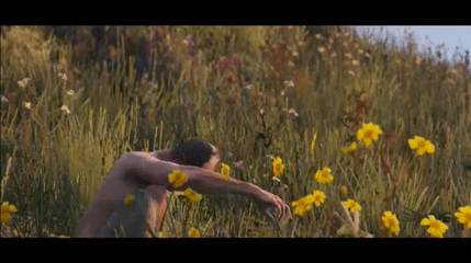 TREVOR-WHAT-ARE-YOU-DOING-WITH-YOUR-LIFE.gif